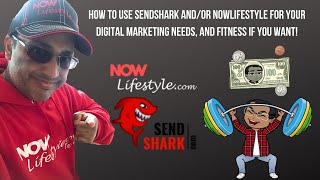 How to Succeed with NowLifestyle and/or SendShark, Best value Autoresponder and Digital Products.