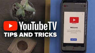 YouTube TV tips and tricks