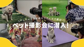 りんごの樹動物病院　噂のペット撮影会に潜入！やんちゃな子や怖がりさんも大歓迎！プロカメラマンのワザとほのぼの撮影風景をご覧ください