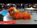 Atraksi Barongsai vs Naga Tahun Baru Imlek 2018, Gong xi fa cai