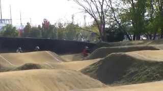 BMX 大泉 第３１回ｾｲﾘﾝｶｯﾌﾟ 13-14 ﾋｰﾄ2 2014