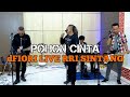 dFIORI - Pohon Cinta (Live RRI Sintang 07 Maret 2023)