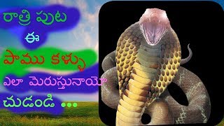 ఈ పాము కళ్ళు చూసారా ....dangerous snake go to out side | telugu news king