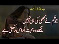 Bewafa Sad Poetry| 2 Line Sad Poetry| Sad Heart Touching Poetry| Urdu Shayari | 2 Line Urdu Poetry