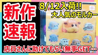 【ガチャガチャ】新作速報(8/12発売)店員さん2人に助けてもらいながらも無事GET！！大人気のPUI PUI モルカーフロッキーソフビフィギュアVOL.1