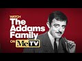 metv presents the best of wednesday addams