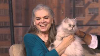 How Mary Ellen  Taught Her Cat to Swim