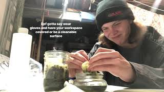 Making rso easy and simple with trim, pressed rosin bags, and bud