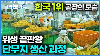 전국에서 가장 위생적인 환경에서 단무지를 만드는 공장│국내 최대 규모, 생산량이 하루에 무려 60톤!│극한직업│#골라듄다큐