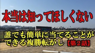 【複勝転がし】誰でも簡単に当てることができる！？第二話