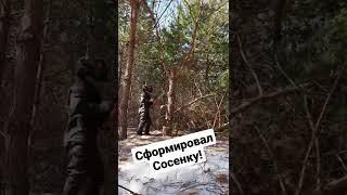 Формирую сосны на участке..