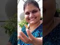 நார்த் கரோலினா ஜூ north caroline zoo zoo trending travel vlog