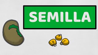 ☘️ SEMILLA: Características y Adaptaciones | Biología Vegetal