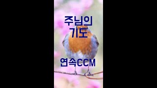 [ 새해 축복 CCM ] 250110_주님의 기도 외  [구독은 사랑]