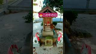 🦊稲荷神社参拝で金運爆上げ！💰️🌈🍀 ＃shorts ＃金運 ＃開運＃地球船龍神丸