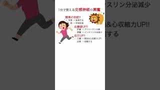 1分で覚える交感神経の興奮【管理栄養士国家試験】 #shorts #国家試験 #管理栄養士 #管理栄養士国家試験 #交感神経 #副交感神経 #呼吸 #神経系 #看護師 #保健師 #薬剤師