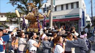 平成27年 柏市 加賀夏祭り　【大人神輿渡御】