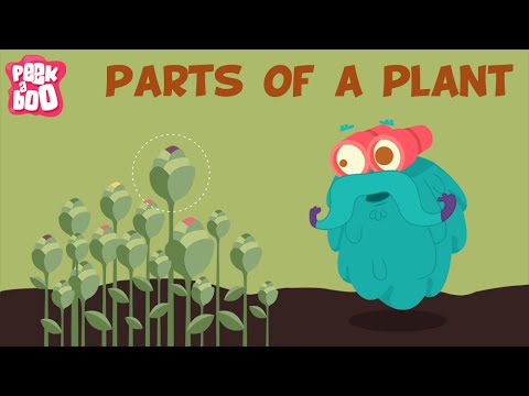 How are plant parts different?
