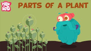 Parts Of A Plant | The Dr. Binocs Show | Learn s For Kids