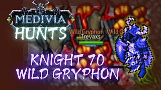 KNIGHT 70 SOLO AT WILD GRYPHONS - LUANA RESPAWN - MEDIVIA ONLINE