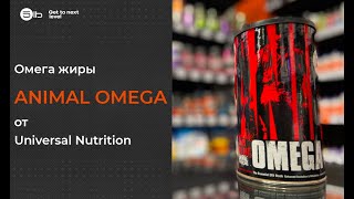 Функции омега жиров. Краткий обзор Animal Omega.