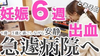 【妊娠初期】出血あり。１歳・３歳と過ごしながらの安静。【出血・悪阻・腹痛・妊娠６週ごろ】