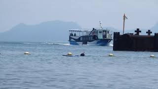 大瀬海水浴場（静岡西伊豆）の雰囲気