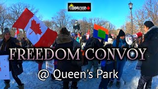 FREEDOM CONVOY Toronto  ||  Queen’s Park on February 5 2022