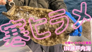 寒ヒラメ〜活き餌泳がせ釣り🎣〜【瀬戸内海】