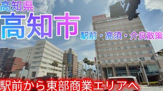 高知市ってどんな街? 高知最大の32万人都市！駅前中心市街地から市東部郊外商業通り“高須・介良”へ【高知県 県庁所在地】(2024年)