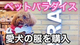 【ペットパラダイス】愛犬のお洋服を購入【トイプードルのサラ】