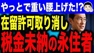 【検討で終わったら解散だぞ❗】税金・保険料未納の永住外国人の在留許可取り消し！？岸田首相が改正に動くも「検討」の文字が…