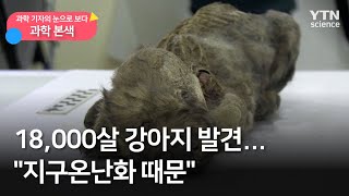 [과학본색] ② 18,000살 강아지 발견…"지구온난화 때문" / YTN 사이언스