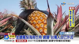 國民黨外流種苗? 網曝\