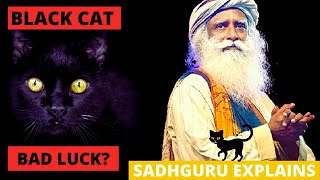 Does a black cat crossing your path brings Bad Luck? || Superstition Explained by Sadhguru