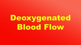 Flow of Deoxygenated Blood through the Heart