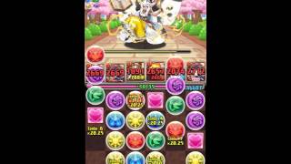 【パズドラ】私立パズドラ学園 超青春 シャンメイPT