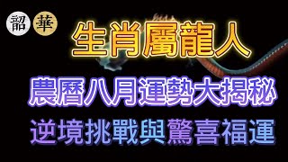 生肖龍農曆八月會遇到什麼不順的事情？生肖屬龍人在農曆八月有沒有值得高興的事情？#生肖 #生肖龍 #傳統文化