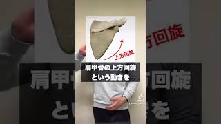 理学療法士が肩の痛みを改善する最強エクササイズを解説!! #shorts