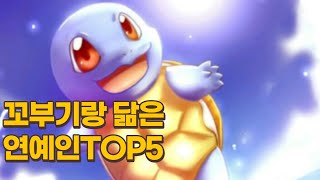 꼬부기랑 닮아도 너무 닮은 연예인 TOP5