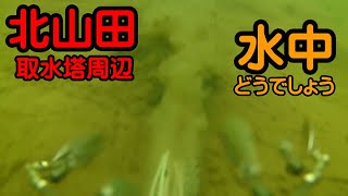 098)３月下旬、琵琶湖が春本番。北山田の気になる水中の様子も撮影してみました