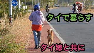 2025年1月10(金)  舞台はタイの田舎町。犬がご飯を食べてる場面が多めの日常風景です