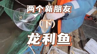 2025年啊，新的一年祝大家身體棒棒啊#户外 #户外捕鱼 #fishing #大海的馈赠 #shorts