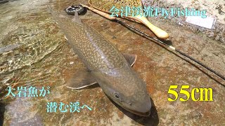 2019-7月某日 会津渓流FlyFishing『大岩魚が潜む渓へ』