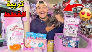 واخيرا..ربيت قطة لاول مرة🐈اصعب تحدي فحياتي😱