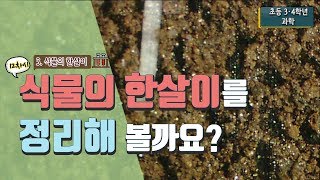 [초등 과학 4-1] 3. 식물의 한살이 - 12차시. 식물의 한살이를 정리해 볼까요?