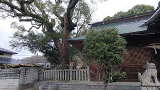 御坂神社　播磨の神社　三木市の見どころ