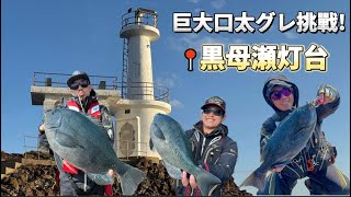 【日本五島列島】目標50UP口太釣King團🎣 良型黑毛拉到手軟😵 In上五島黒母瀬灯台 📍前篇 Ft.丸銀釣りセンター