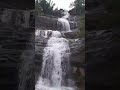 the cheeyappara waterfall is on the neriamangalam to adimali. it is in  idukki district