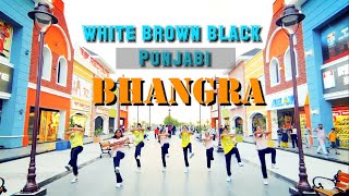 white brown black | Punjabi Bhangra | Krishna dance studio | @rrscrew1873